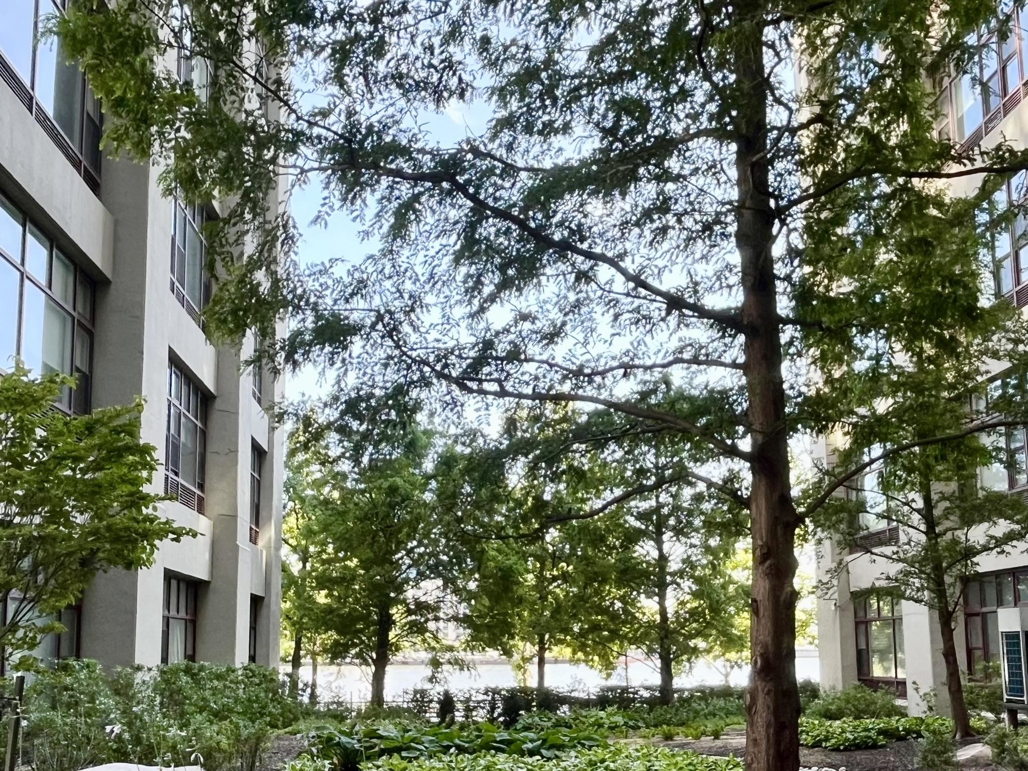 Residential Lease in Hoboken 2