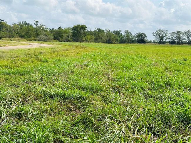 484 Conestoga Trl, Home with 0 bedrooms, 0 bathrooms and null parking in Angleton TX | Image 7