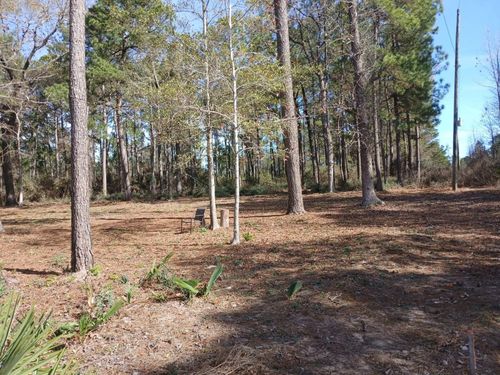 TBD Youpon Dr, Plantersville, TX, 77363 | Card Image