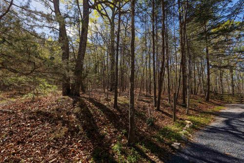 TBD Shotgun Spring Rd, NEW MARKET, VA, 22844 | Card Image