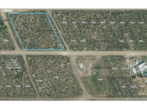 86953 Tamarack Ln, ChristmasValley, OR, 97641 | Card Image