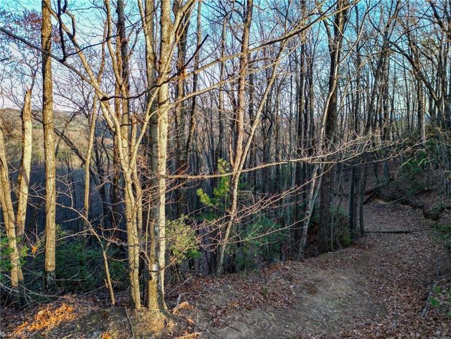 000 Gowings Knob Rd, Home with 0 bedrooms, 0 bathrooms and null parking in Mc Grady NC | Image 4