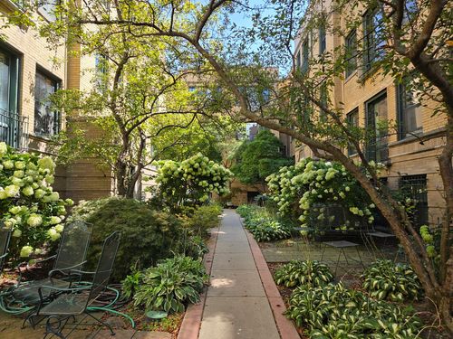 2n-7031.5 N Sheridan Road, Chicago, IL, 60626 | Card Image