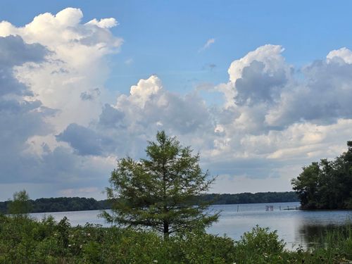 Lot 018 Firewood Lane, Morrilton, AR, 72210 | Card Image