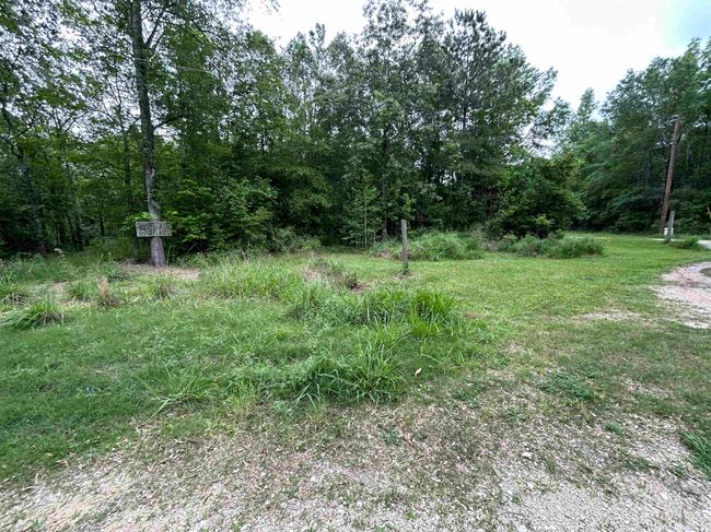 260 E Pine Lake Dr, Home with 0 bedrooms, 0 bathrooms and null parking in Sour Lake TX | Image 4