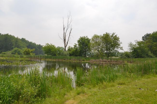 4500 S 42 Nd St, Home with 0 bedrooms, 0 bathrooms and null parking in Climax MI | Image 55