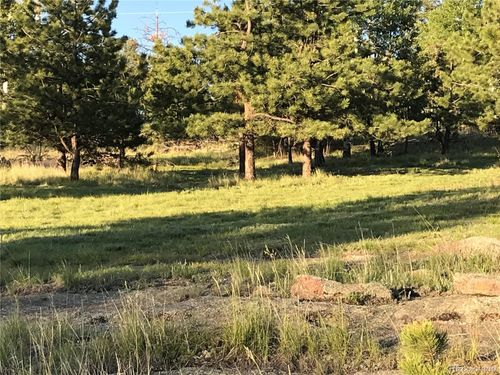 314 Arrowhead Dr, Florissant, CO, 80816-8965 | Card Image