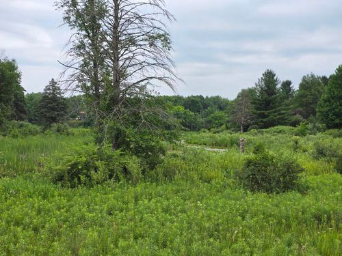 6172 Lake Dr, Barryton, MI, 49305 | Card Image