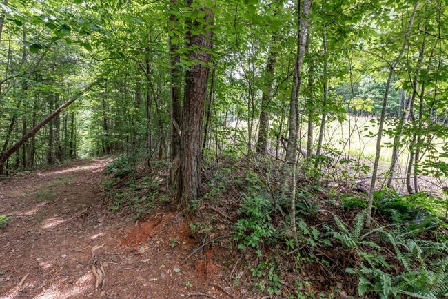 26.18 AC Green Road, Home with 0 bedrooms, 0 bathrooms and null parking in Young Harris GA | Image 13