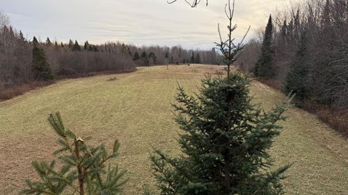 80-a-Off South Park Rd, Butternut, WI, 54514 | Card Image