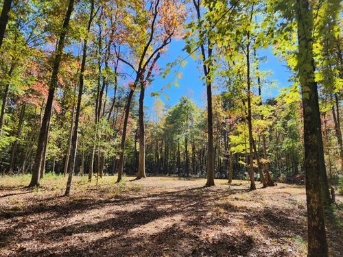 255 Libby Ln, Mentone, AL, 35984 | Card Image