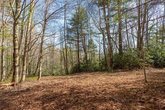 4 Trillium Ridge Rd, Home with 0 bedrooms, 0 bathrooms and null parking in Cullowhee NC | Image 7
