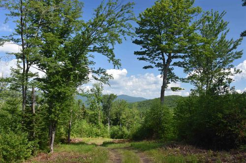 662 Belcher Rd, Roxbury, VT, 05669 | Card Image