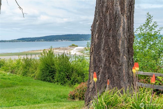 View from Backyard | Image 31