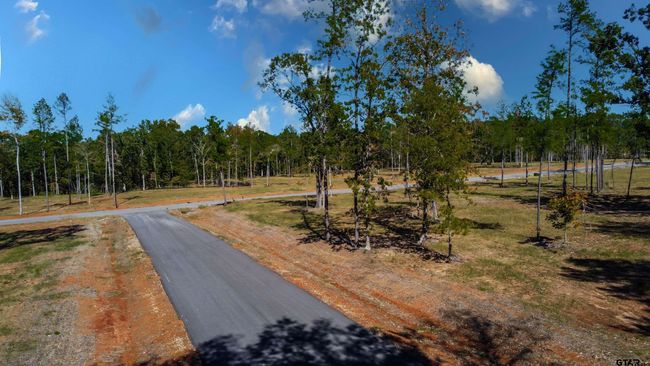 15538 Aniston Ln, Home with 0 bedrooms, 0 bathrooms and null parking in Flint TX | Image 19