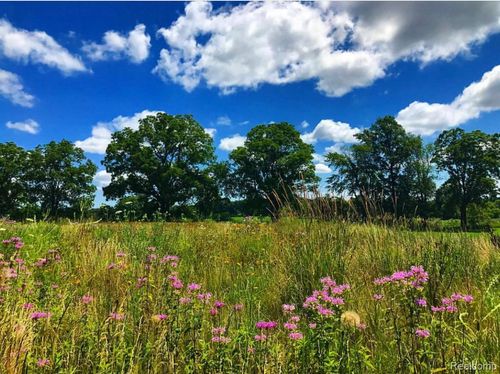 8584 E Parker Rd, Laingsburg, MI, 48848 | Card Image