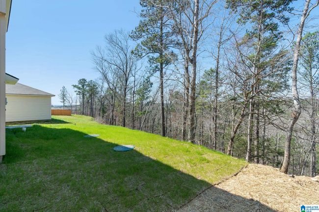 38 Broken Arrow Ln, House other with 3 bedrooms, 3 bathrooms and null parking in MUNFORD AL | Image 30