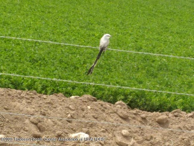 Farmland | Image 14