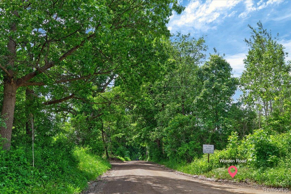Residential in Groveland Township 5