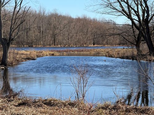 VL E Dowling Rd, Dowling, MI, 49050 | Card Image