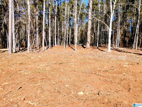 lot-28-534 Foster Cove Drive, Lineville, AL, 36266 | Card Image