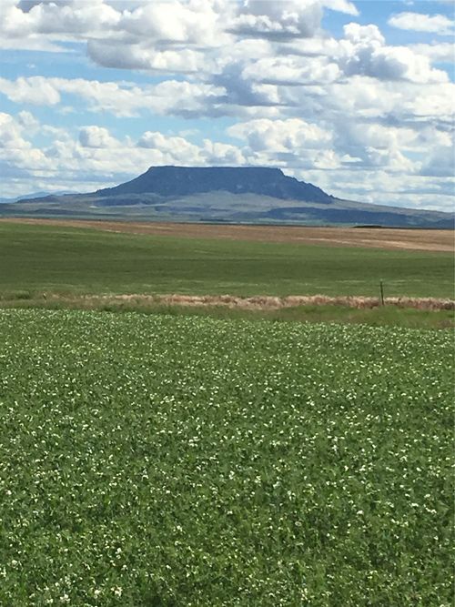 UKN Flat Creek Road, Geraldine, MT, 59446 | Card Image