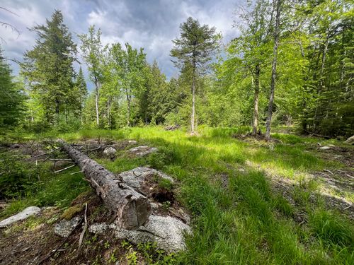 TBD Marks Mountain Way, Dedham, ME, 04429 | Card Image