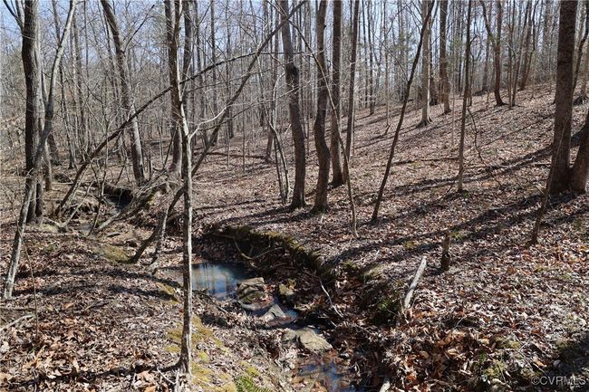 0 Golf Course Rd, Home with 0 bedrooms, 0 bathrooms and null parking in Halifax VA | Image 38
