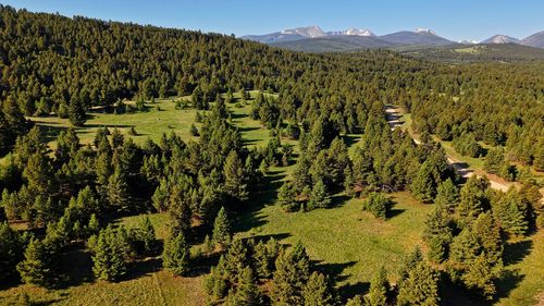 NHN Lot 8 Phase 3A Dolus Lakes Road, Deer Lodge, MT, 59722 | Card Image