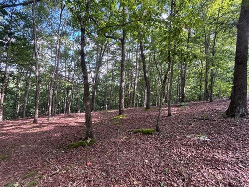 LOT 5 Westwood Ave, Blairsville, GA, 30512 | Card Image