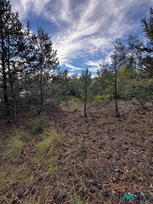 37 Huff Ave, Cloudcroft, NM, 88350 | Card Image