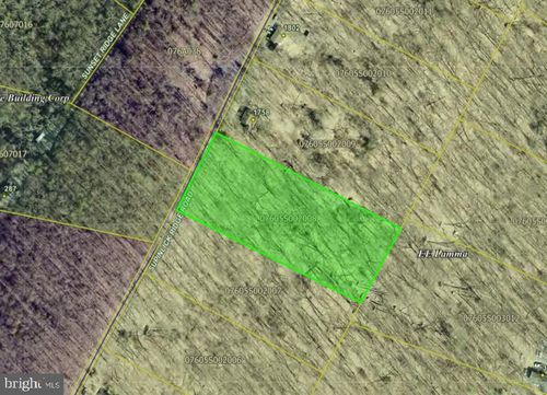 Lot 8 Supinlick Ridge Rd, MOUNT JACKSON, VA, 22842 | Card Image