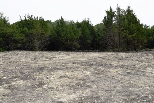 View of local wilderness with a wooded view | Image 5