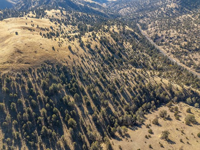 46459 Shaniko-Fossil Hwy aerial_0366 cop | Image 39
