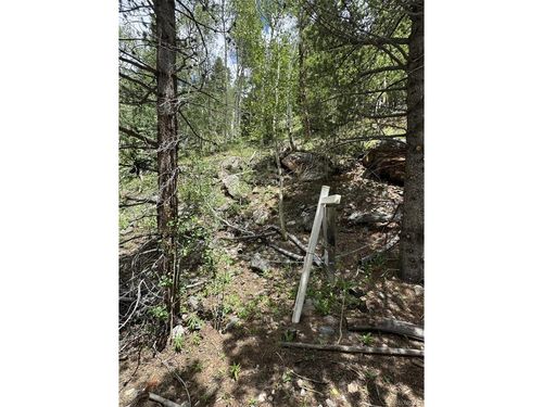 0 Loch Lomond Rd, Idaho Springs, CO, 80452 | Card Image