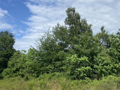 129 Road 5262, Cleveland, TX, 77327 | Card Image