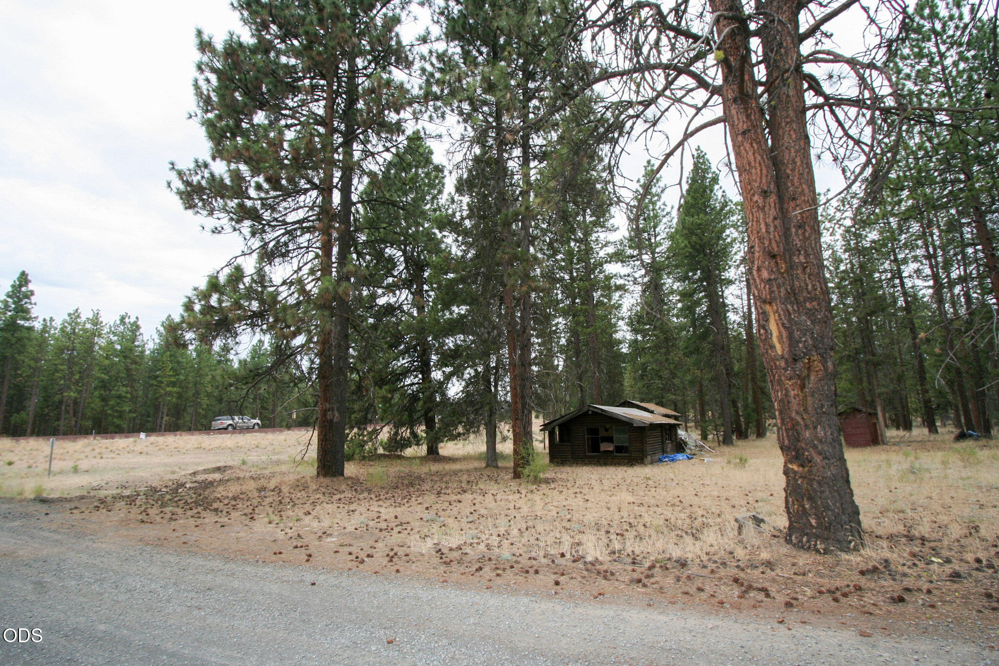 Land in Bonanza 4