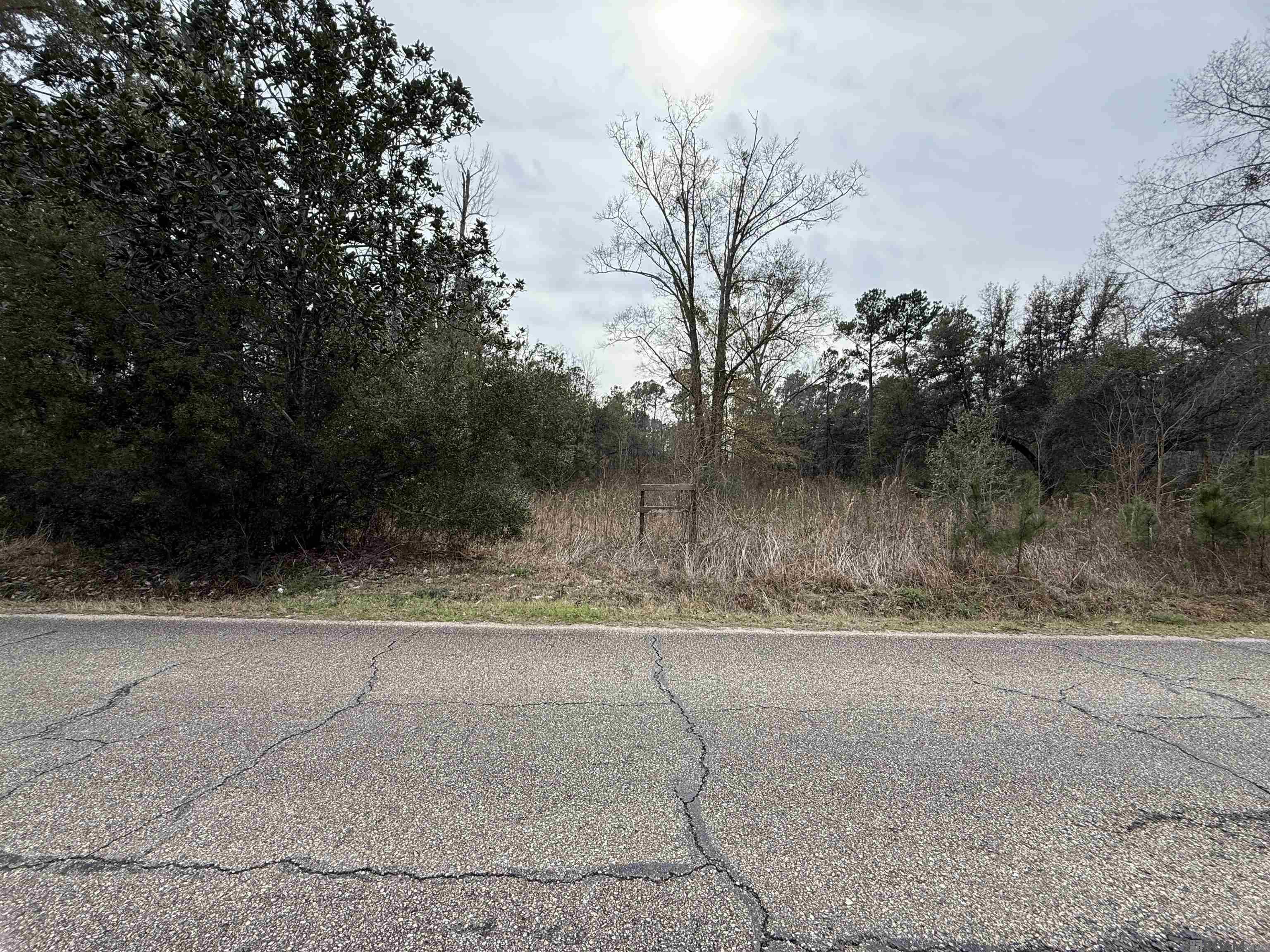 Land in Lacombe 4