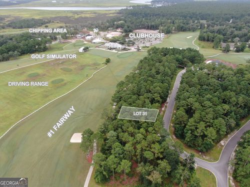 0 Lone Pine Ct, Waverly, GA, 31565 | Card Image
