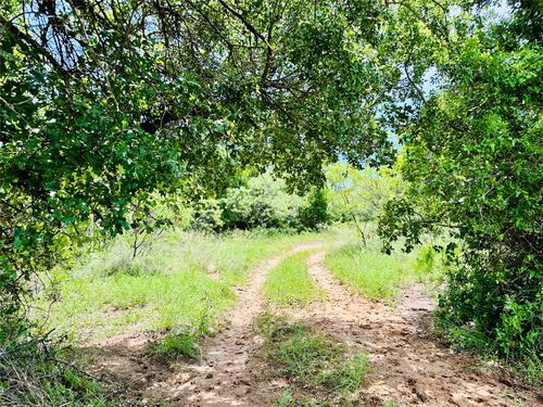 TBD County Road 404, Cross Plains, TX, 76443 | Card Image