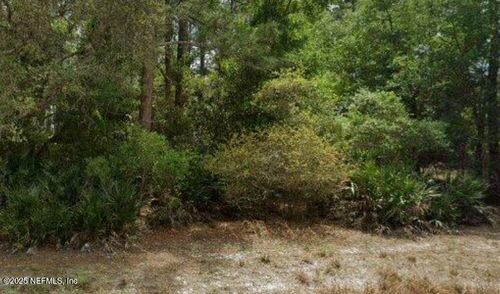131 Edgemere Dr, GEORGETOWN, FL, 32139-2205 | Card Image