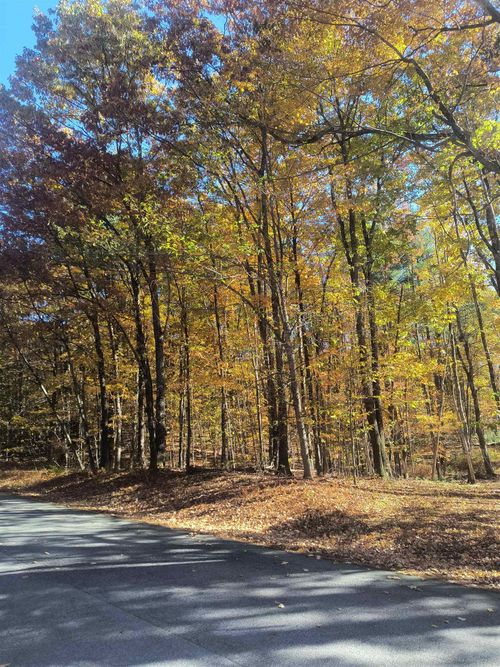 Map 8 Lot 77 Province Road, Strafford, NH, 03884 | Card Image