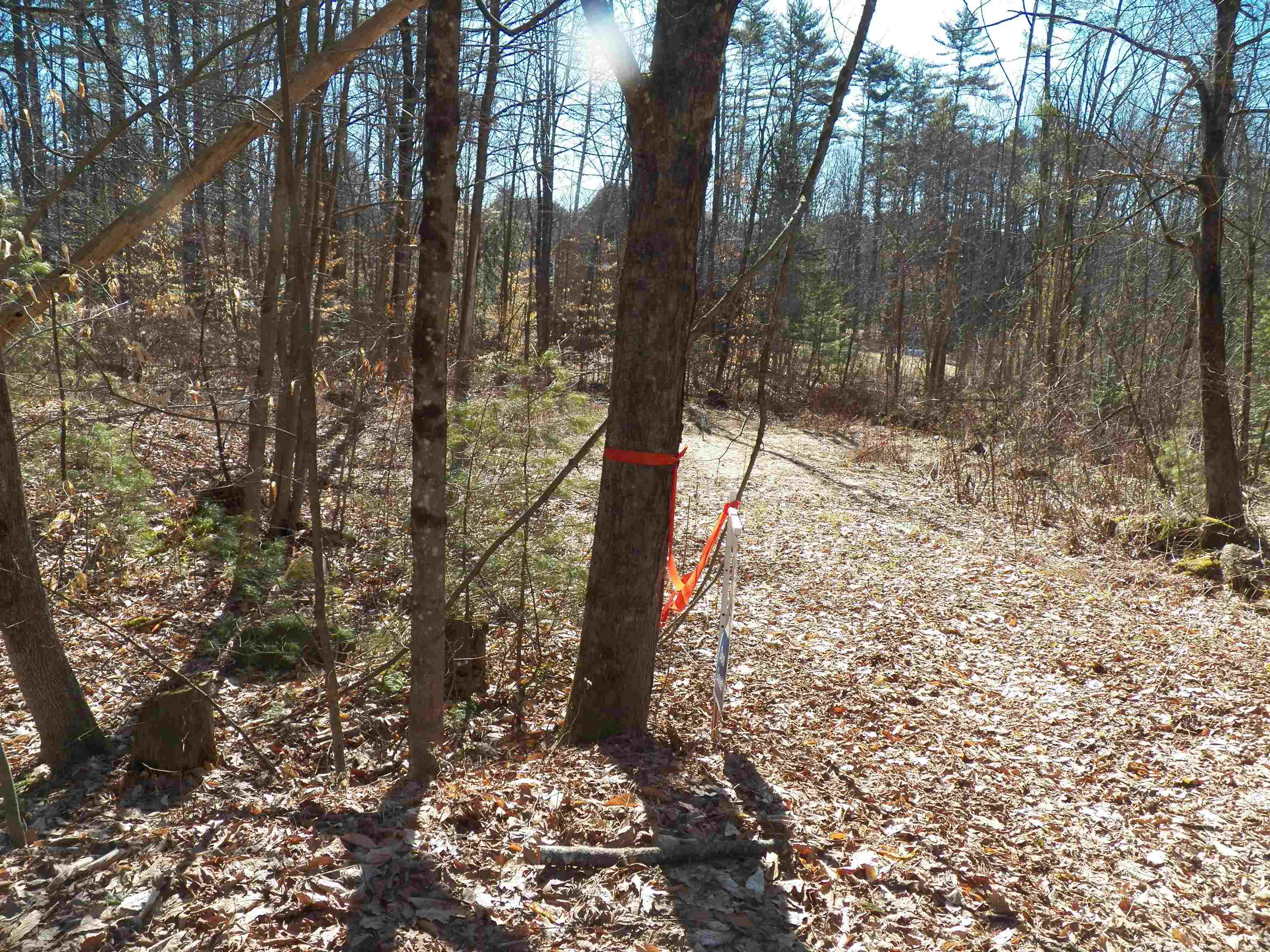 Land in Hillsborough 5