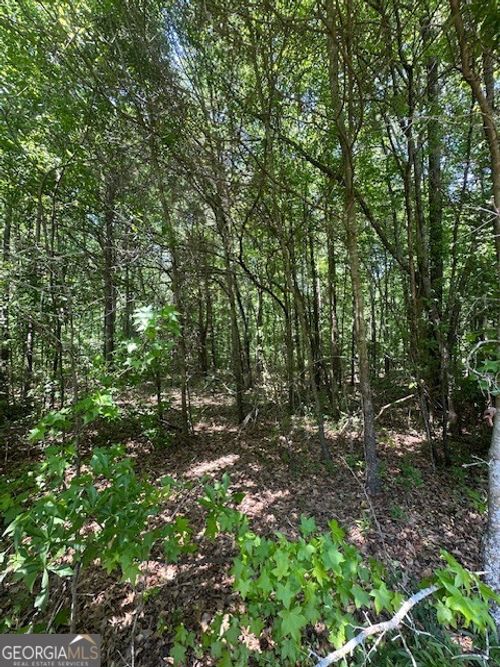 0 Mize Rd, Commerce, GA, 30530 | Card Image