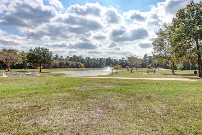 Five local parks feature pavilions, sports courts and fields, picnic and swimming facilities, and miles of walking and biking trails. Barton Creek Ranch is the perfect home base for fishing, birding, golfing and camping enthusiasts of all ages! | Image 22