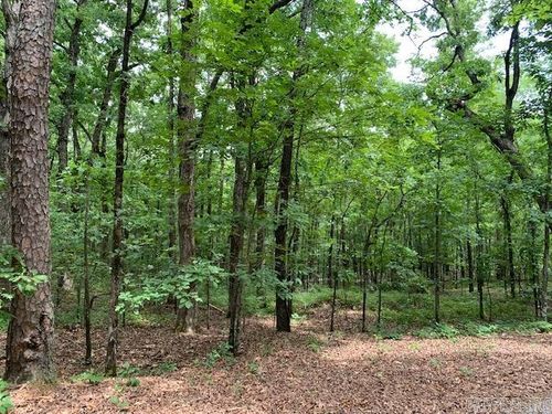 Lots 44 &amp; 45 Lakeview Drive, Heber Springs, AR, 72543 | Card Image