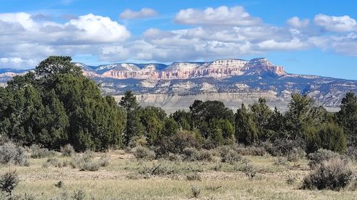 1000 W Tropic Trail, Tropic, UT, 84776 | Card Image