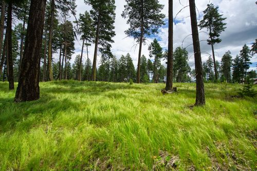 lot-15-182 Rosewood Lane, Whitefish, MT, 59937 | Card Image