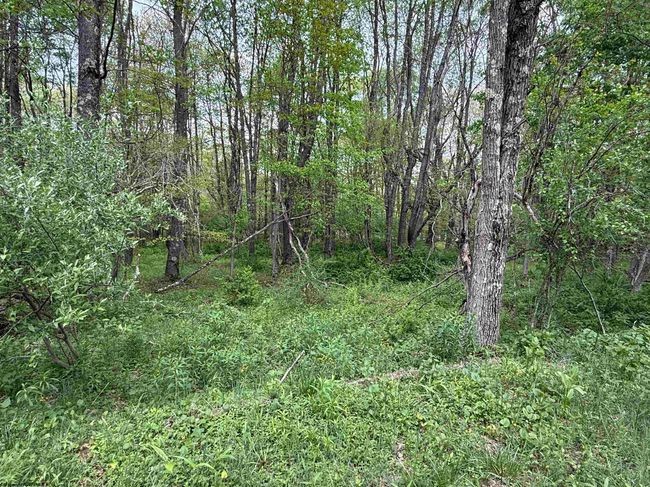 2610 Maple Spring Hwy, House other with 3 bedrooms, 3 bathrooms and 3 parking in Eglon WV | Image 33