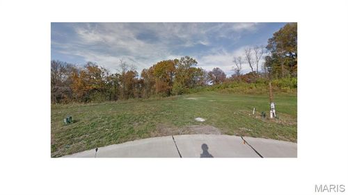 12039 Parker Estates Ct, Florissant, MO, 63033-5042 | Card Image